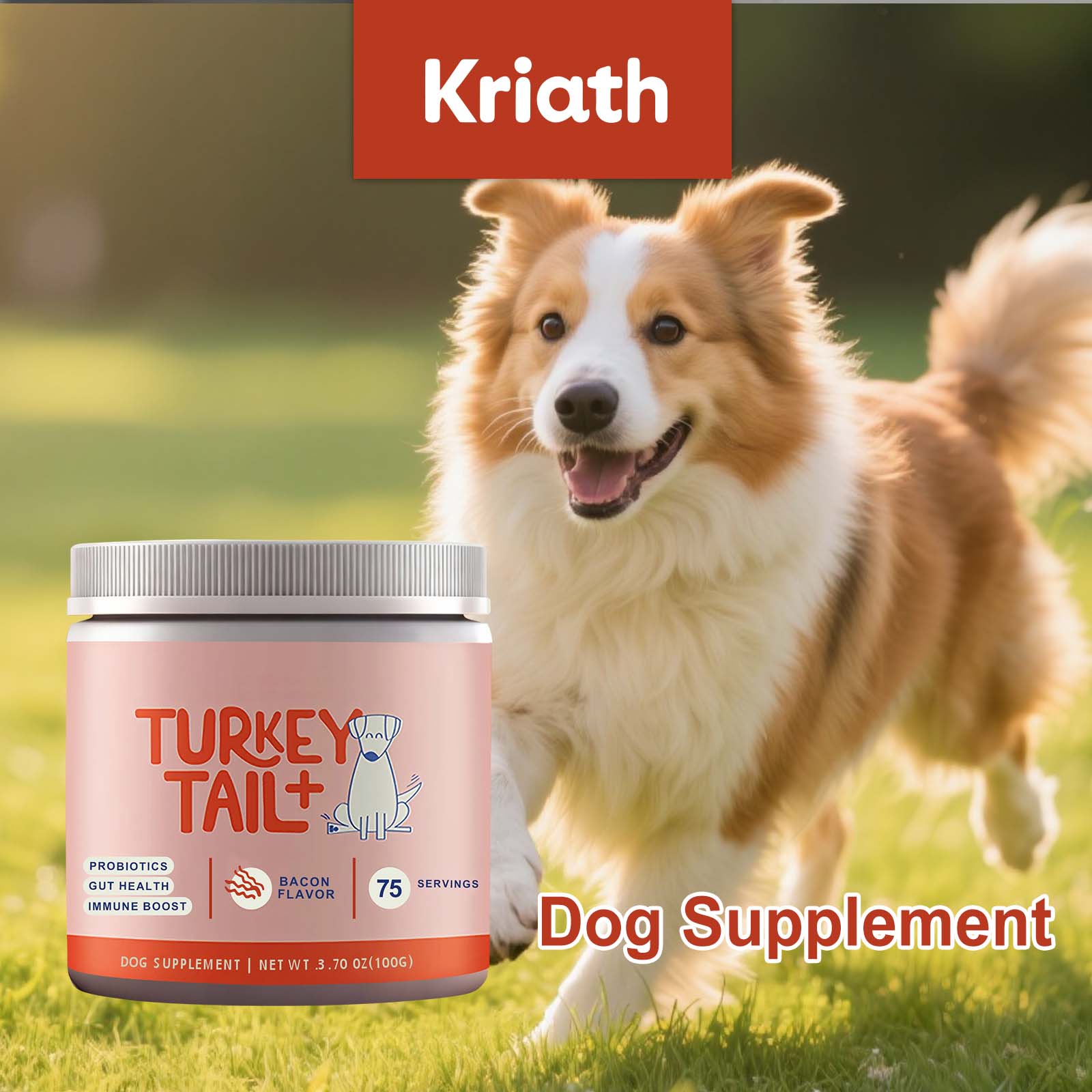Health Wellness Vitality - Bubuk Probiotik Anjing Mendukung Kesehatan Usus