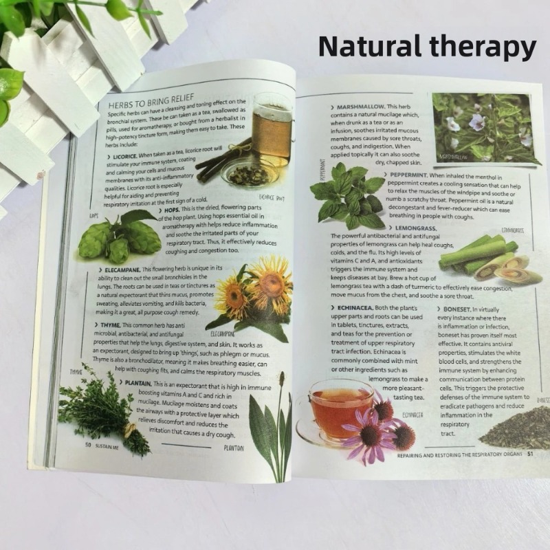 Sustain Me Barbara O'Neill Buk - Health Wellness Foundation ulasan dan harga