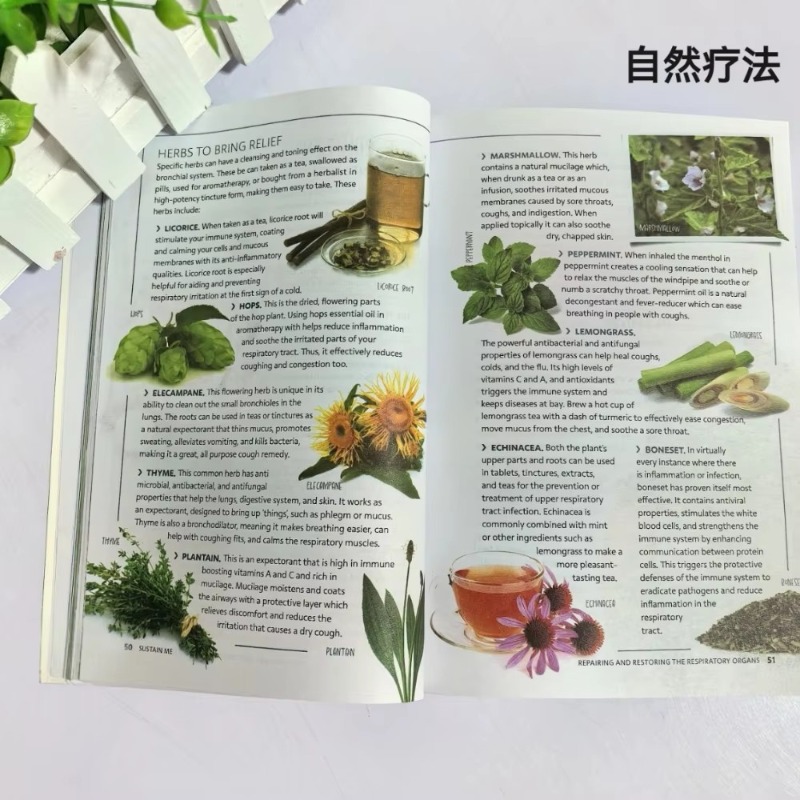 Sustain Me English Paperback O - Health Wellness Foundation ulasan dan harga