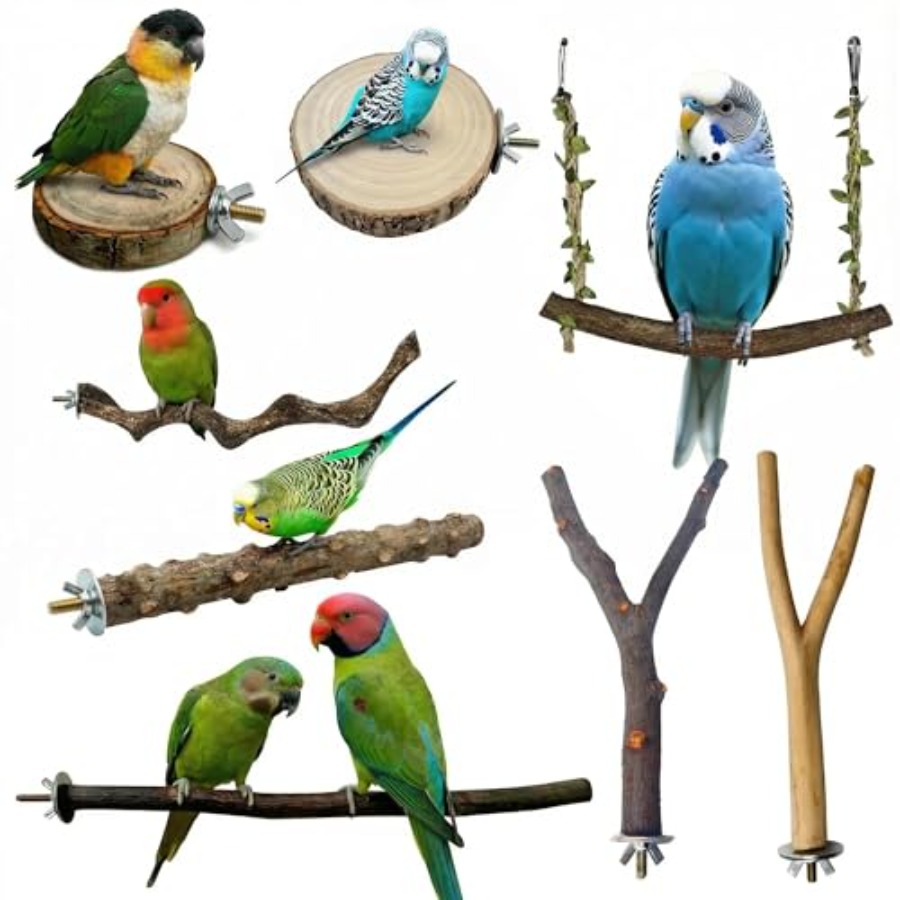 8PCS tempat bertengger burung  - Health & Wellness Focus ulasan dan harga