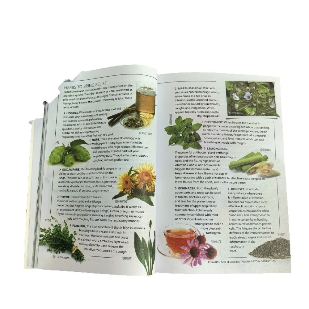 Sustain Me English Paperback o - Health Wellness Foundation ulasan dan harga