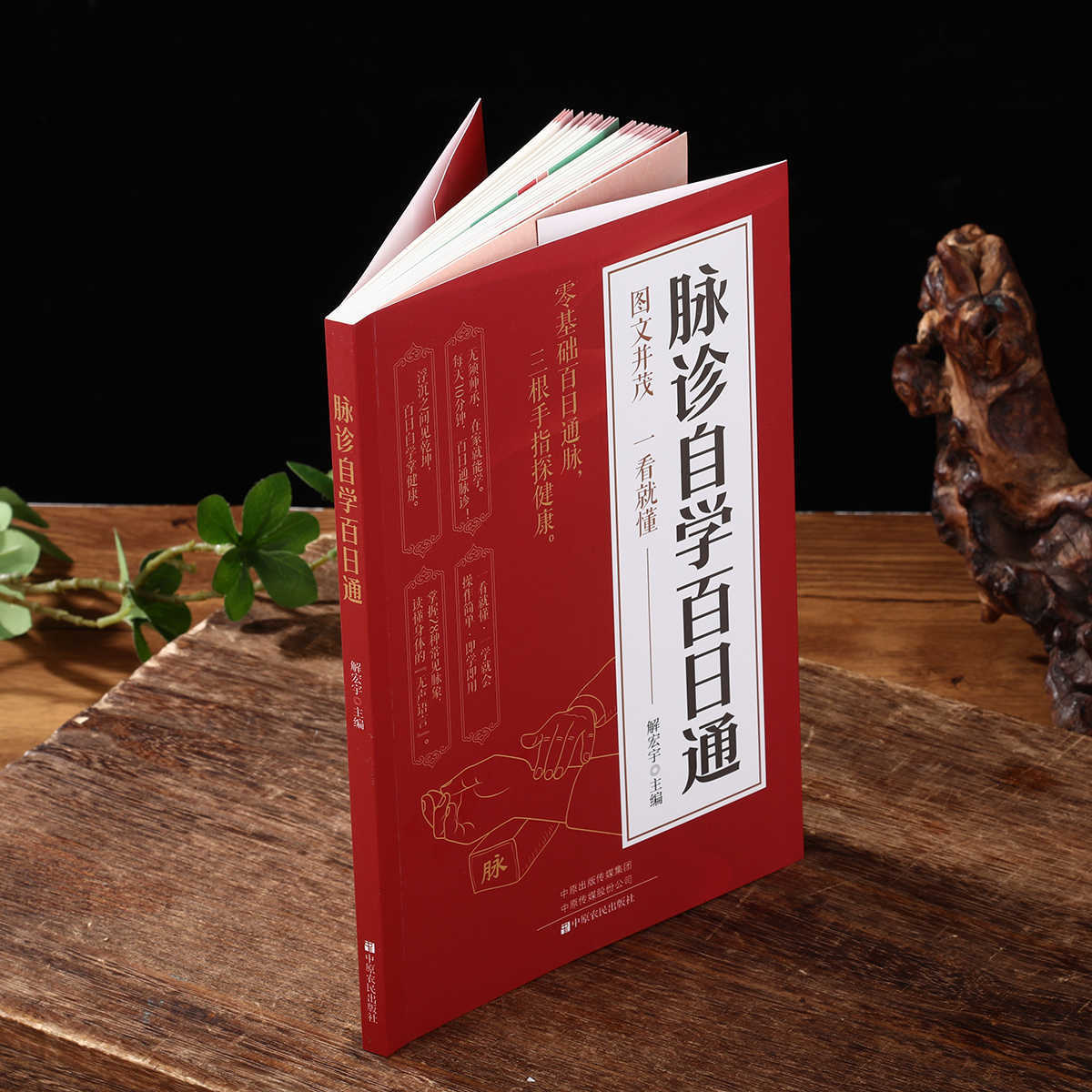 Buku Kesehatan Belajar Mandiri - Health & Wellness Focus ulasan dan harga